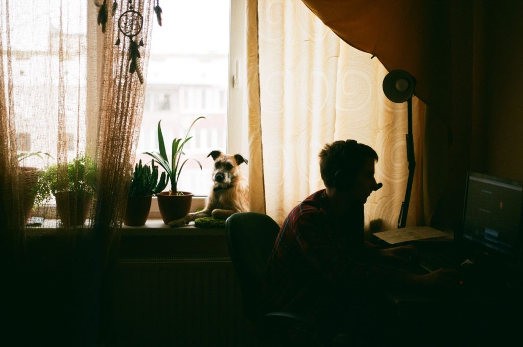 home insurance keeps increasing